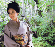 美しい着物 2013 春